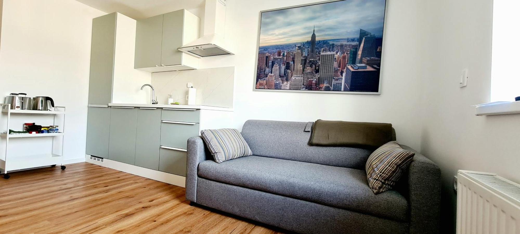 류블랴나 Little Plaza Duplex 아파트 외부 사진